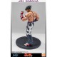 Tekken 5 Statue 1/4 Jin Kazama 48 cm